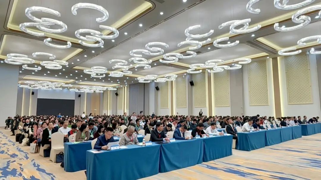 1710911615304444.jpg 640.jpg