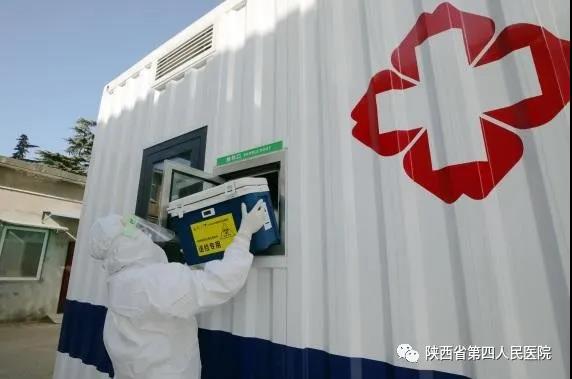 1614159531136746.jpg 7.jpg