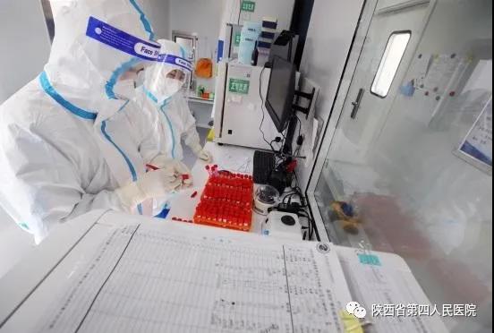 1614159554627274.jpg 10.jpg