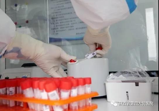 1614159564126879.jpg 12.jpg