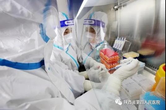 1614159576233103.jpg 14.jpg