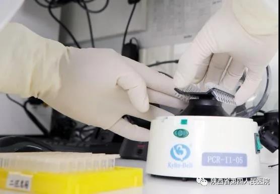 1614159582121517.jpg 15.jpg